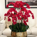 Red Phalaenopsis Orchids in Medium Gold Pot – The Ever Botanic