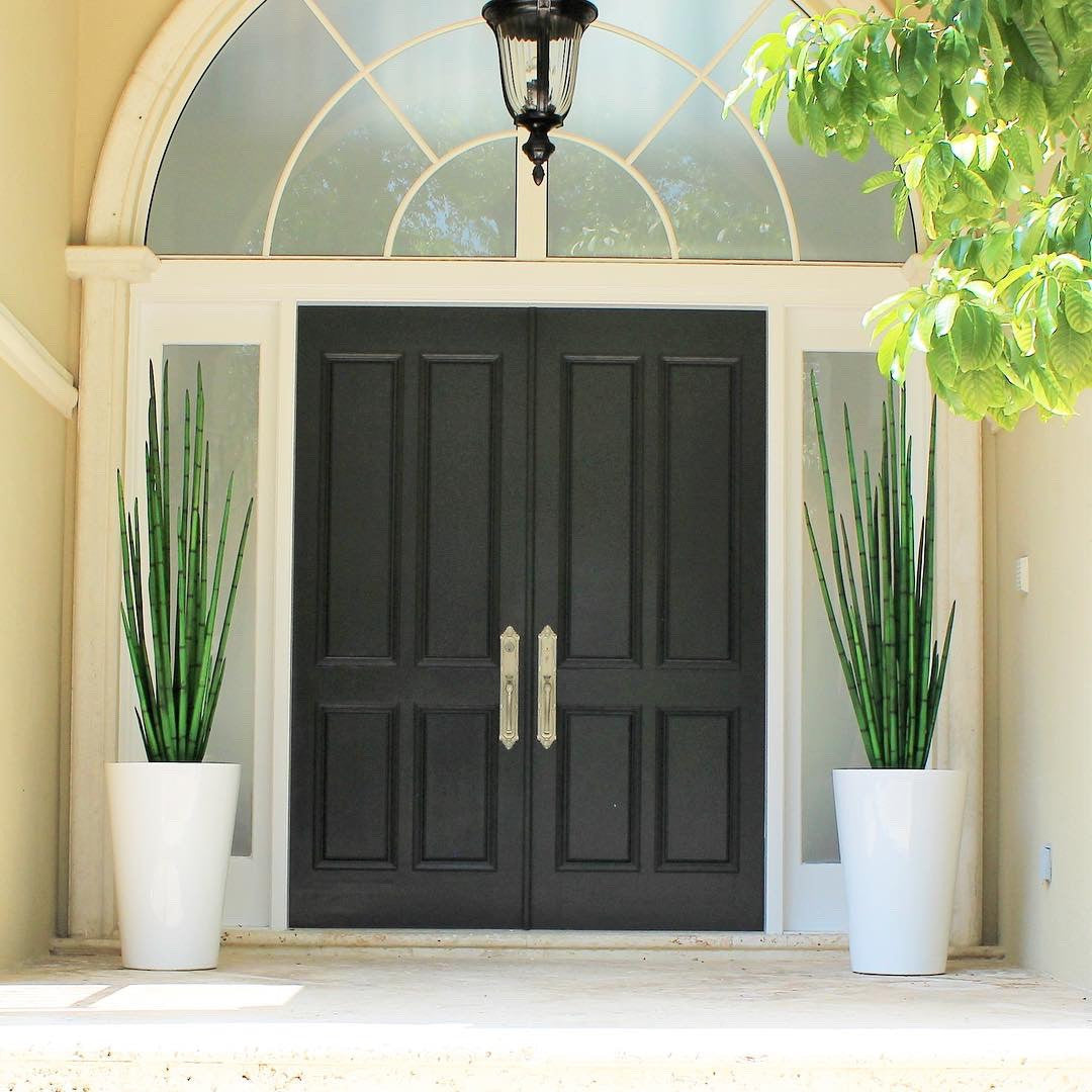 Snake Grass (160 cm) with Belle M Planter – The Ever Botanic