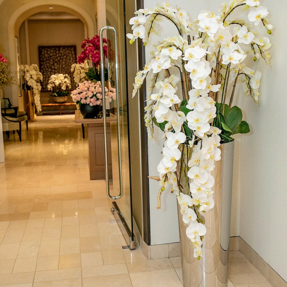 Phalaenopsis Orchids in Cascading Polished Stainless Steel Cone Planter – The Ever Botanic