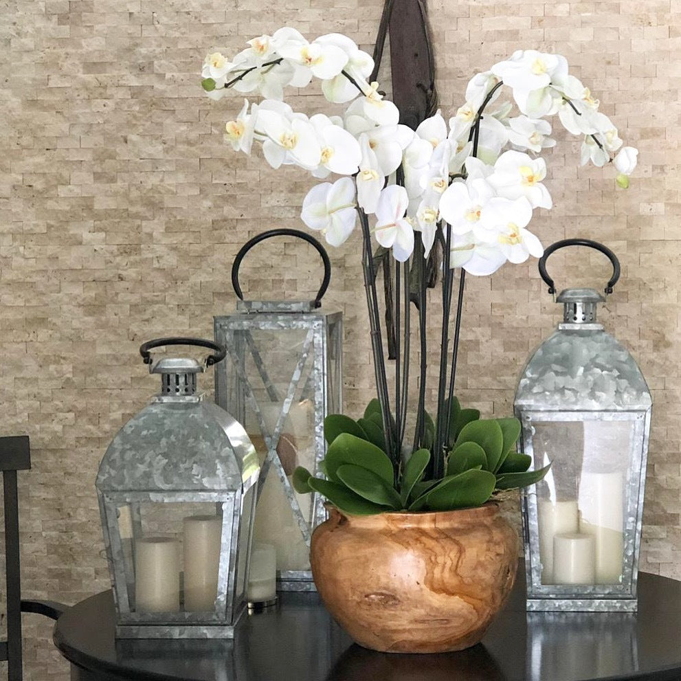 Large Teak Wood Bowl with White Orchids – The Ever Botanic