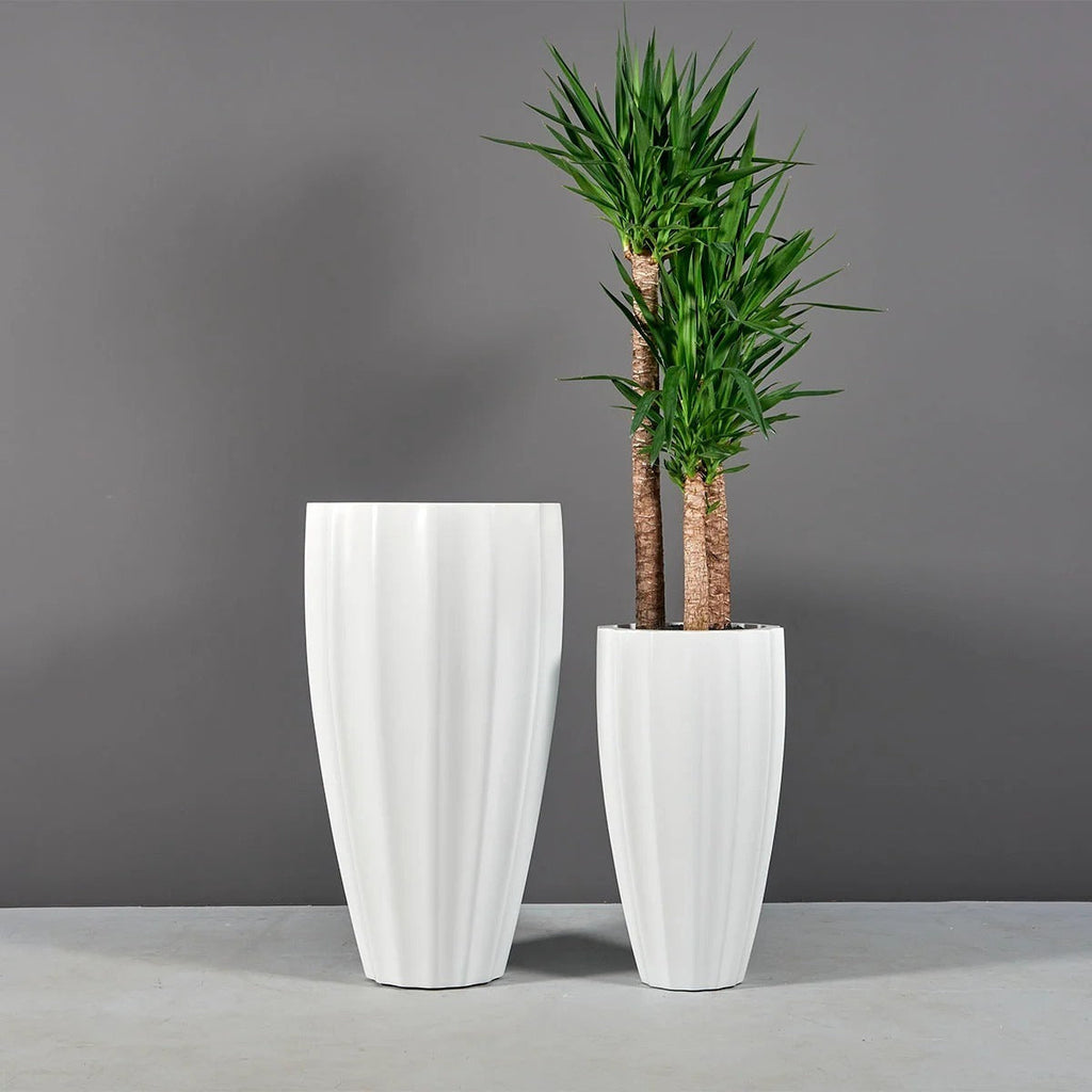 San Jose Ribbed Planter – The Ever Botanic