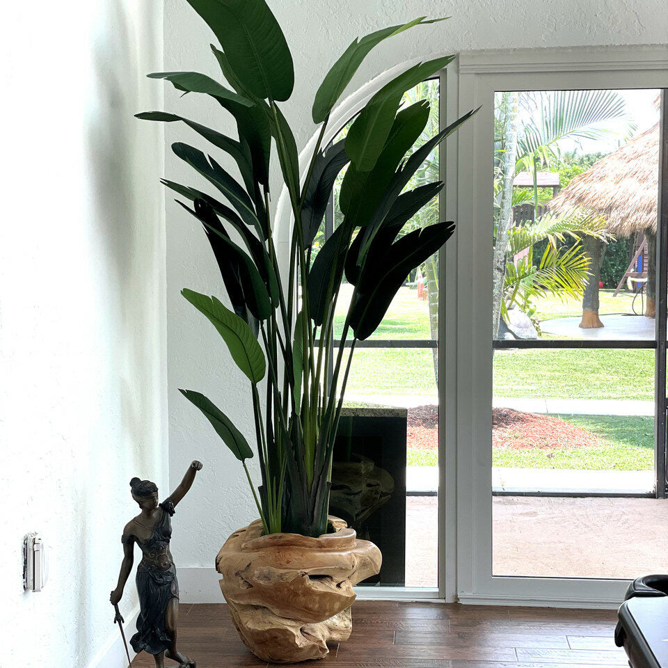 Large Vase Made of Teak Wood with Magnificent Strelitzia (Bird of Paradise) – The Ever Botanic