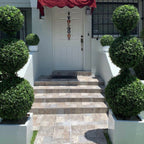 Triple Ball Topiary with Medium Block Fiberglass Planter – The Ever Botanic