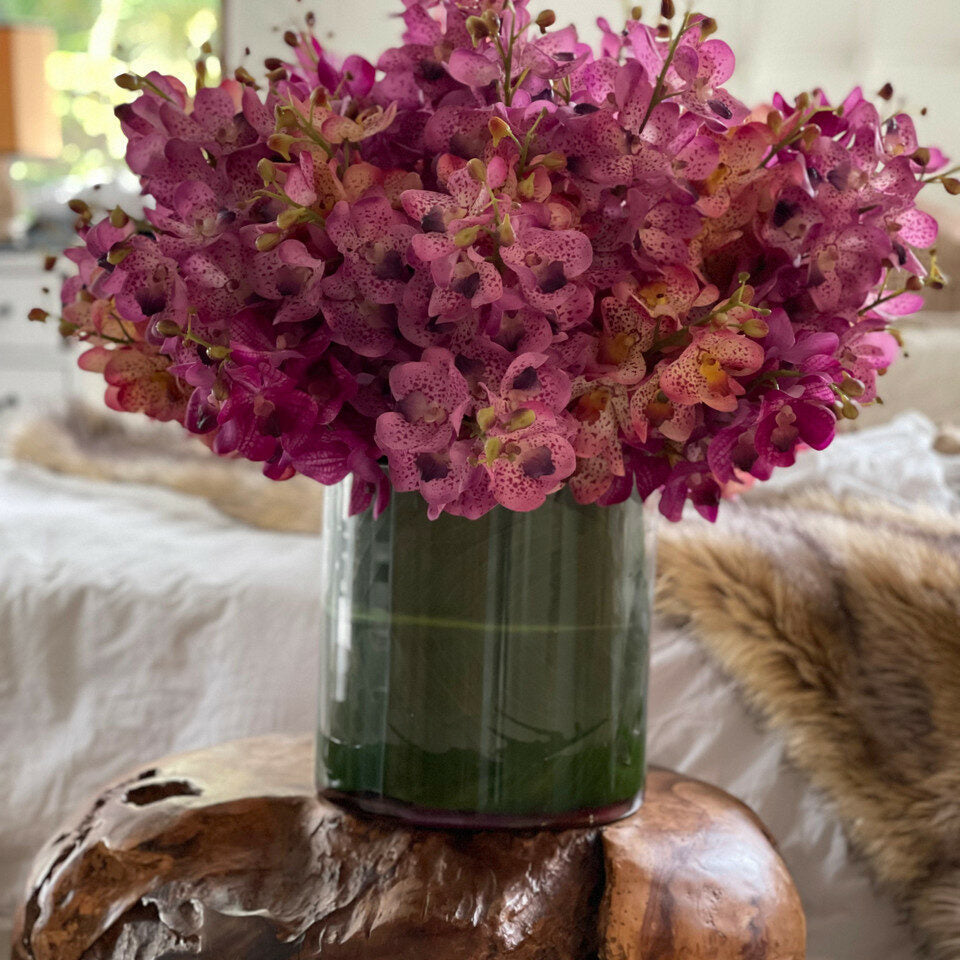 Mixed Mokara Orchids in Large Rotating Cylinder – The Ever Botanic