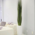 Large Dax Vase with Rush Grass – The Ever Botanic