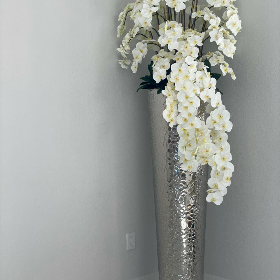Phalaenopsis Orchids in Extra Tall Hammered Pot – The Ever Botanic