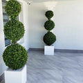 Triple Ball Topiary with Medium Block Fiberglass Planter – The Ever Botanic