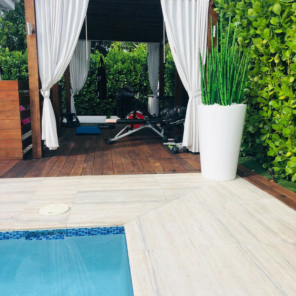 Snake Grass (1.63 m) with Belle L Planter – The Ever Botanic