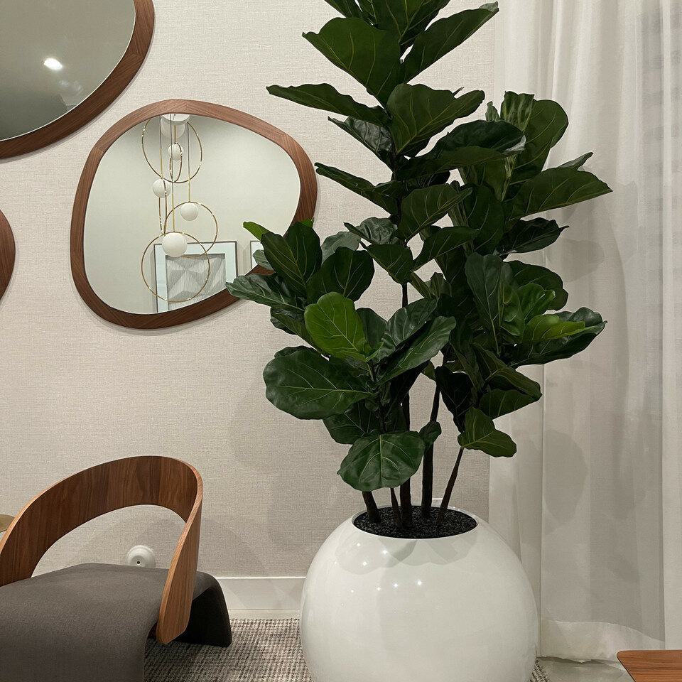 White Globe Vase 30" with Fiddle Tree – The Ever Botanic