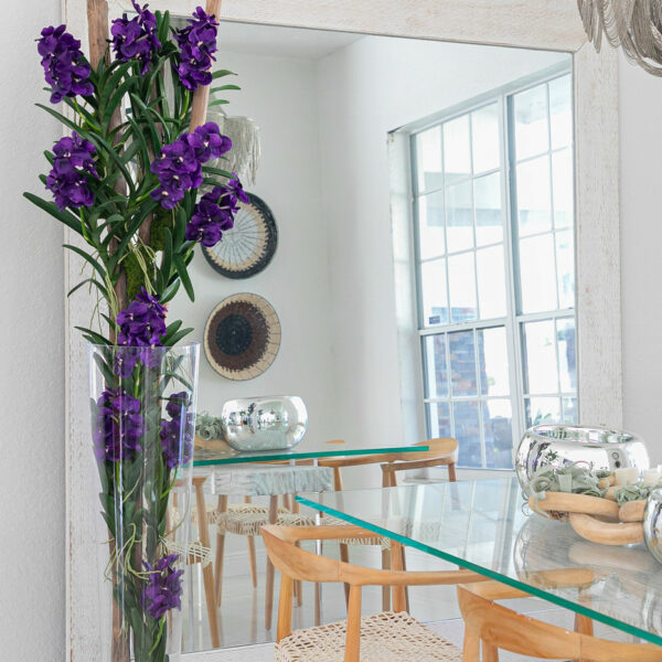 Purple Vanda Orchids and Driftwood Inside a Conical Glass Cylinder – The Ever Botanic