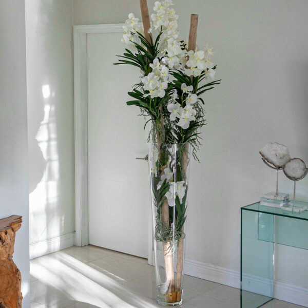 White Vanda Orchids with Driftwood in a Large Conical Glass Cylinder – The Ever Botanic