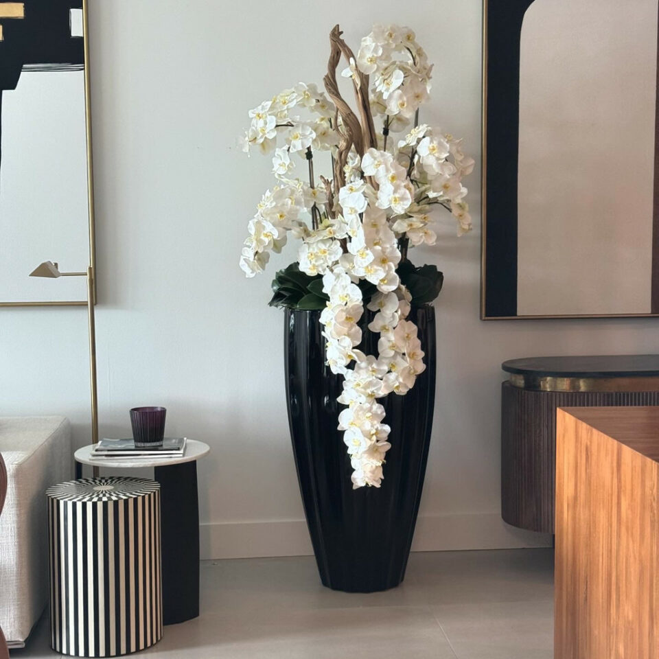 Glossy Black San Jose Vase with Cascading White Orchids – The Ever Botanic