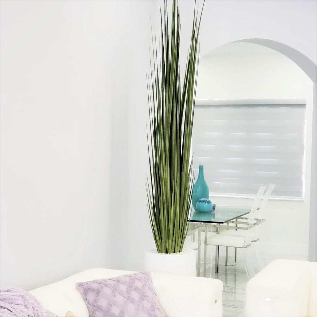 Large Dax Vase with Rush Grass – The Ever Botanic