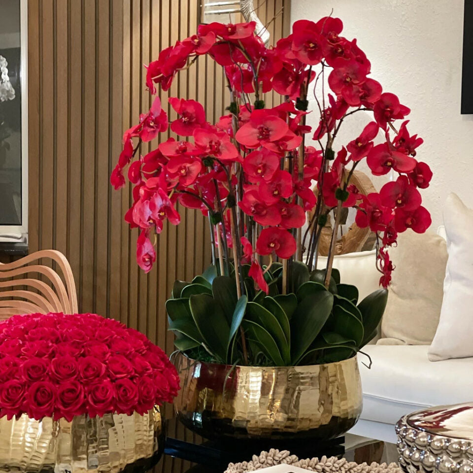 Red Phalaenopsis Orchids in Medium Gold Pot – The Ever Botanic