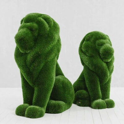 Sitting Lion Topiary – The Ever Botanic