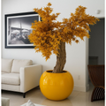 Japanese Maple Tree in Yellow Globe Vase (Gloss Finish) – The Ever Botanic