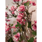 Pink Magnolia Tree in Pot St. Tr. Glossy White Release – The Ever Botanic
