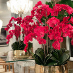 Red Phalaenopsis Orchids in Medium Gold Pot – The Ever Botanic
