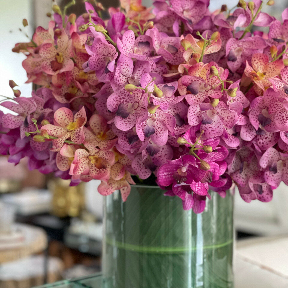 Mixed Mokara Orchids in Large Rotating Cylinder – The Ever Botanic