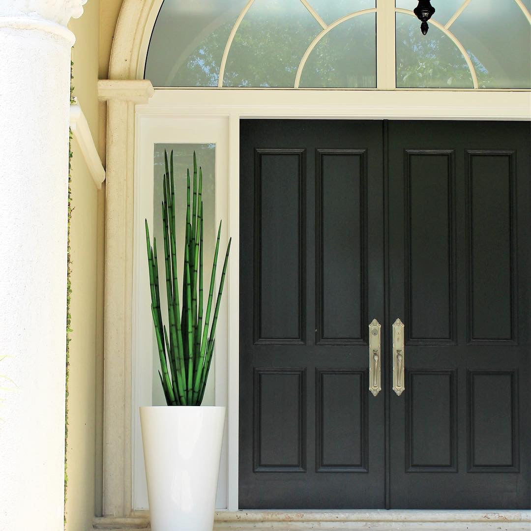 Snake Grass (160 cm) with Belle M Planter – The Ever Botanic