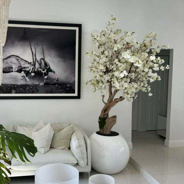 Shiny white globe vase with personalized Cherry Blossom Tree – The Ever Botanic