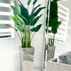 Medium stainless steel cube vase with Bird of Paradise (7') – The Ever Botanic