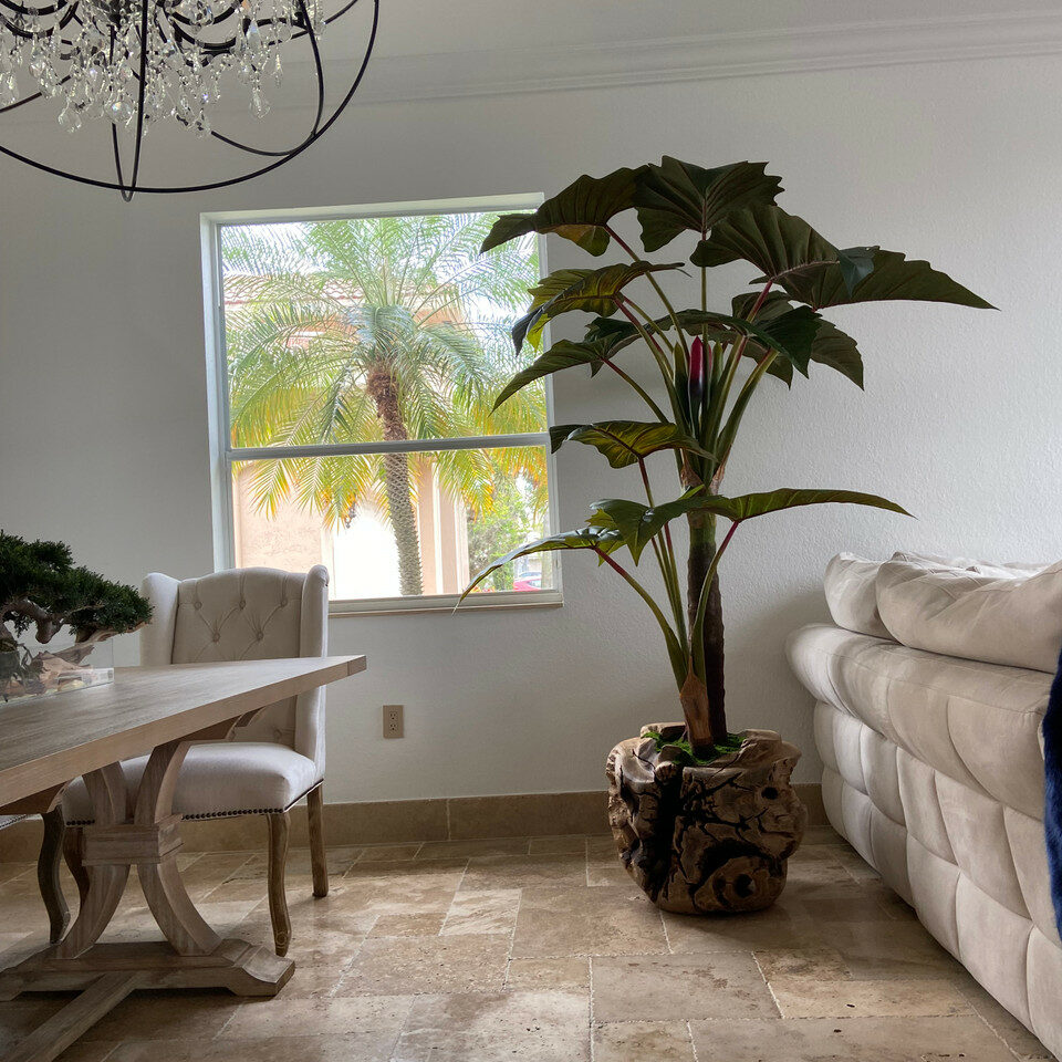 Large Teak Wood Bowl with Alocasia Plant – The Ever Botanic