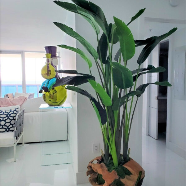 Large Vase Made of Teak Wood with Magnificent Strelitzia (Bird of Paradise) – The Ever Botanic