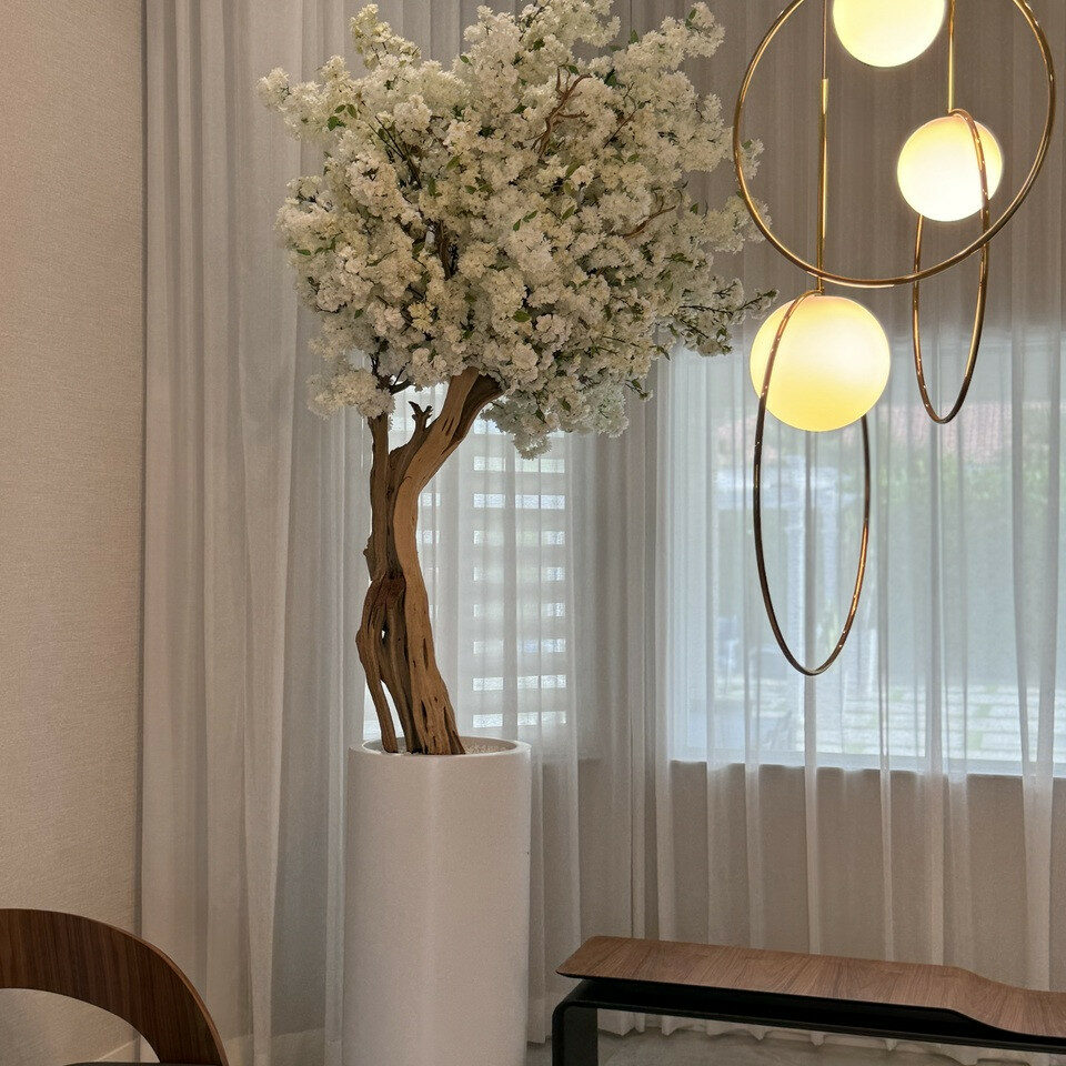 Matte Beige St. Tropez Vase with White Cherry Blossom Tree – The Ever Botanic