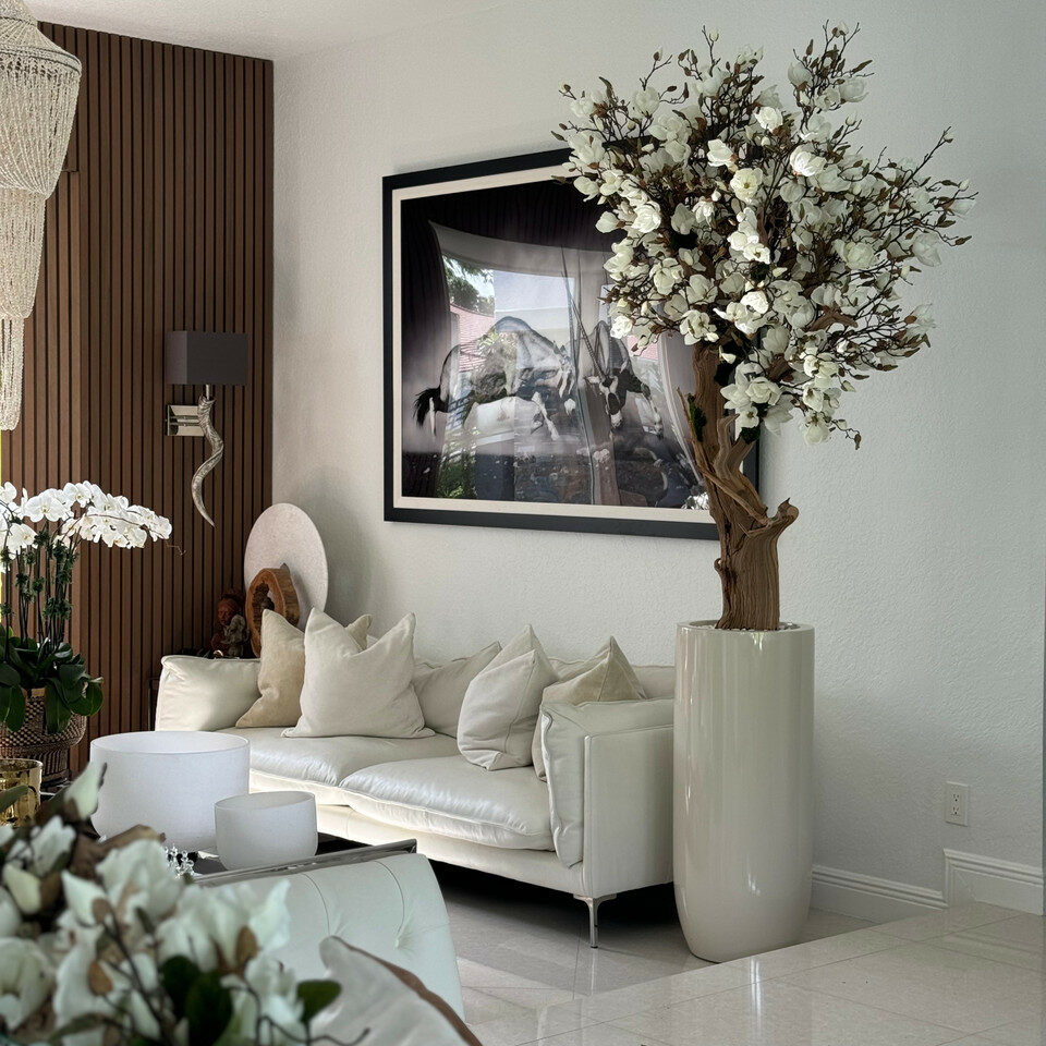 White Magnolia Tree in Pot St. Tropez Bright Beige – The Ever Botanic