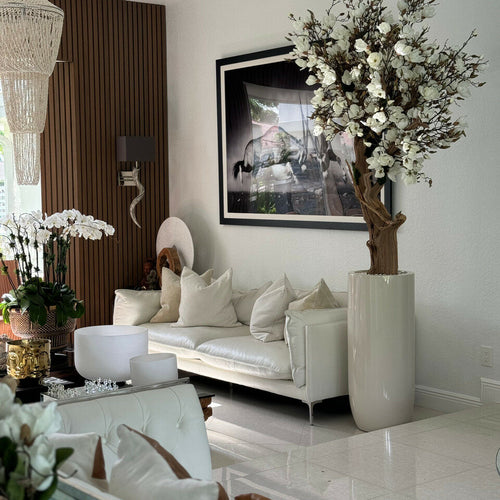 White Magnolia Tree in Shiny St. Tropez Beige Pot – The Ever Botanic