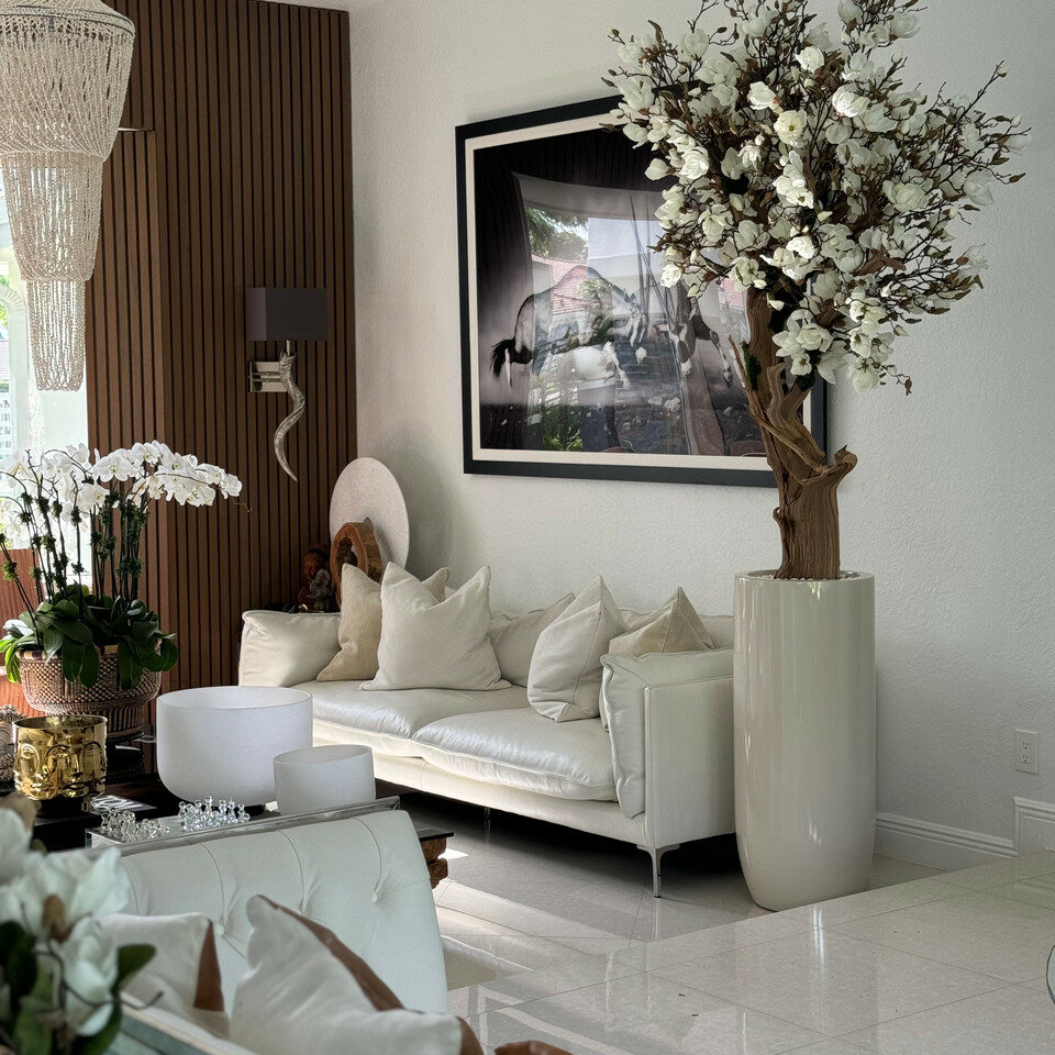 White Magnolia Tree in Pot St. Tropez Bright Beige – The Ever Botanic