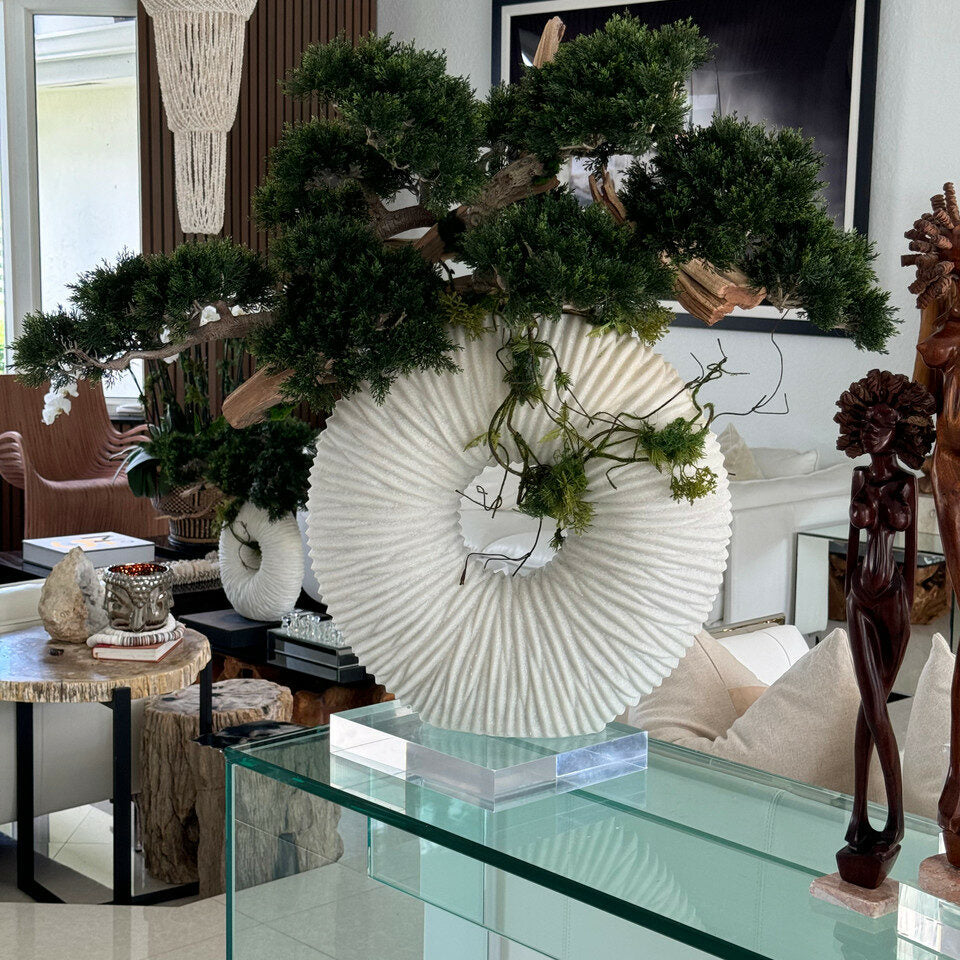 Large Eternity Vase with Hanging Bonsai and Driftwood – The Ever Botanic