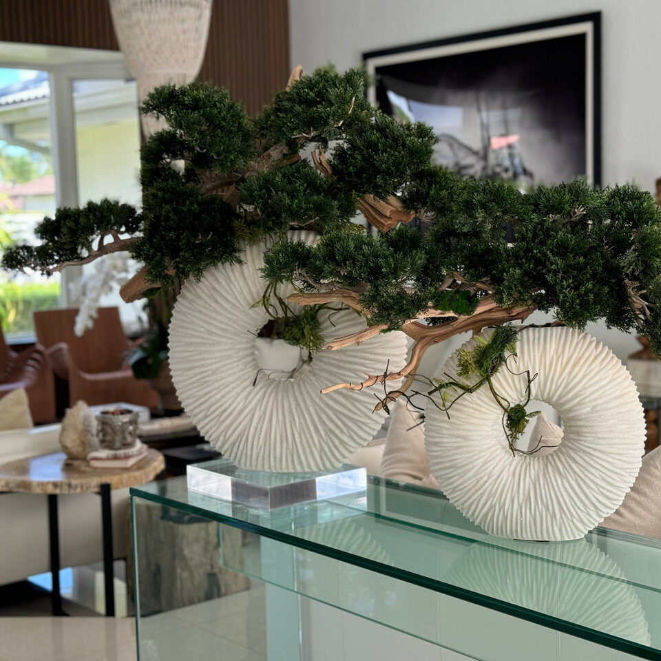 Large Eternity Vase with Hanging Bonsai and Driftwood – The Ever Botanic