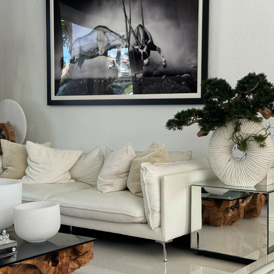 Large Eternity Vase with Hanging Bonsai and Driftwood – The Ever Botanic