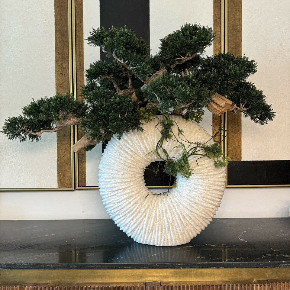 Large Eternity Vase with Hanging Bonsai and Driftwood – The Ever Botanic