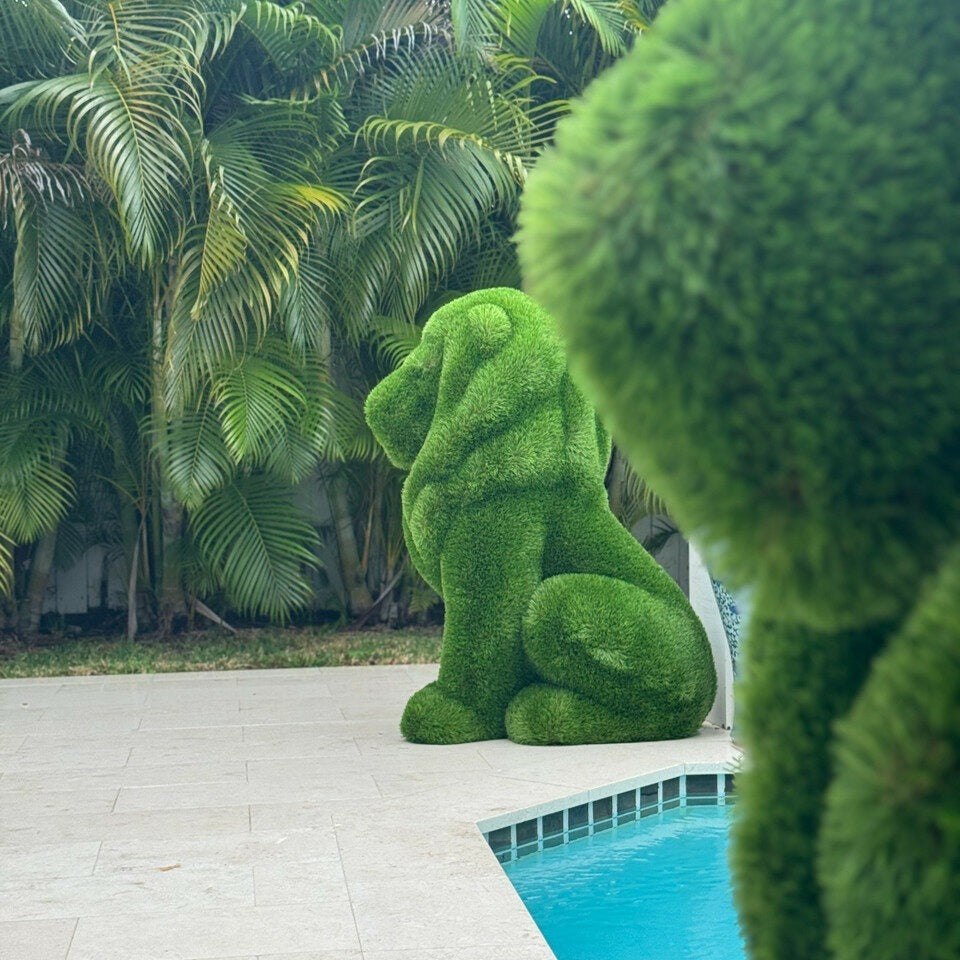 Sitting Lion Topiary – The Ever Botanic