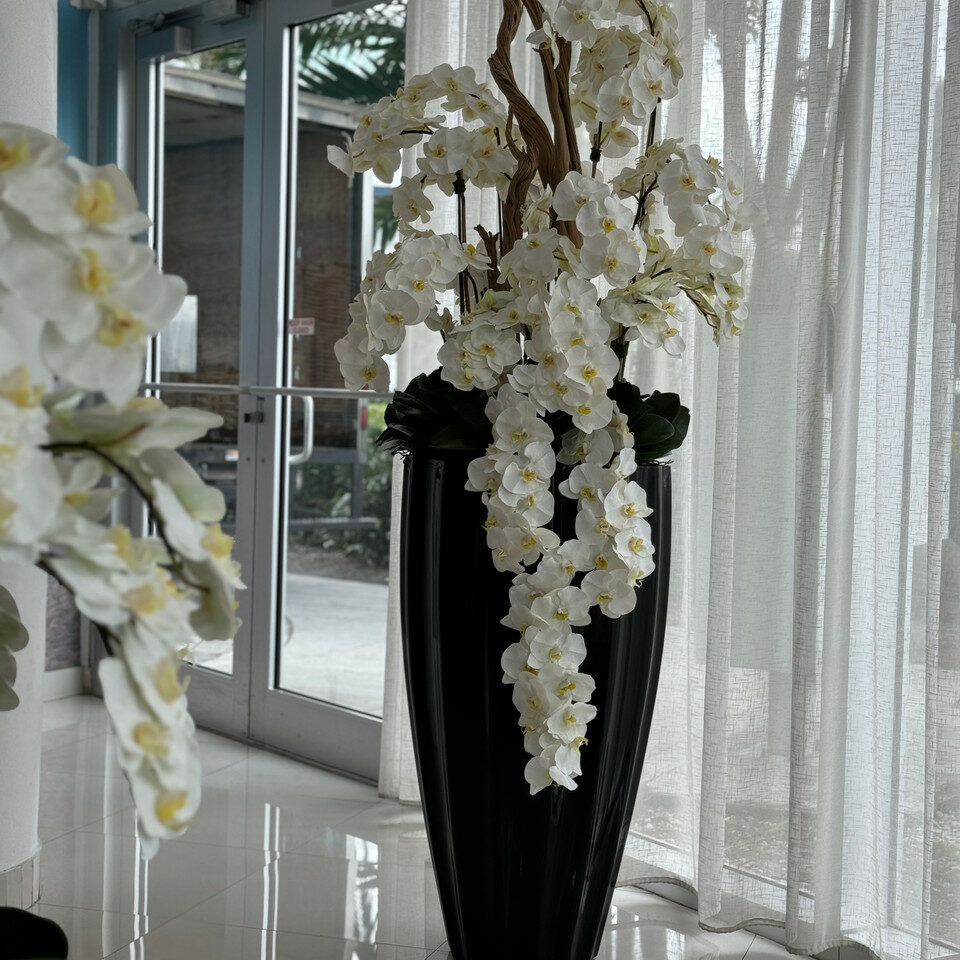 Glossy Black San Jose Vase with Cascading White Orchids – The Ever Botanic
