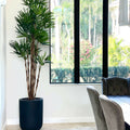 XL Black Pot Palm Tree – The Ever Botanic