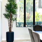 XL Black Pot Palm Tree – The Ever Botanic