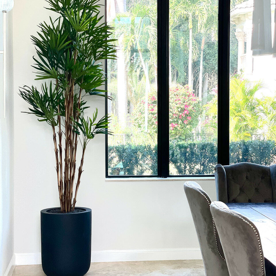 XL Black Pot Palm Tree – The Ever Botanic