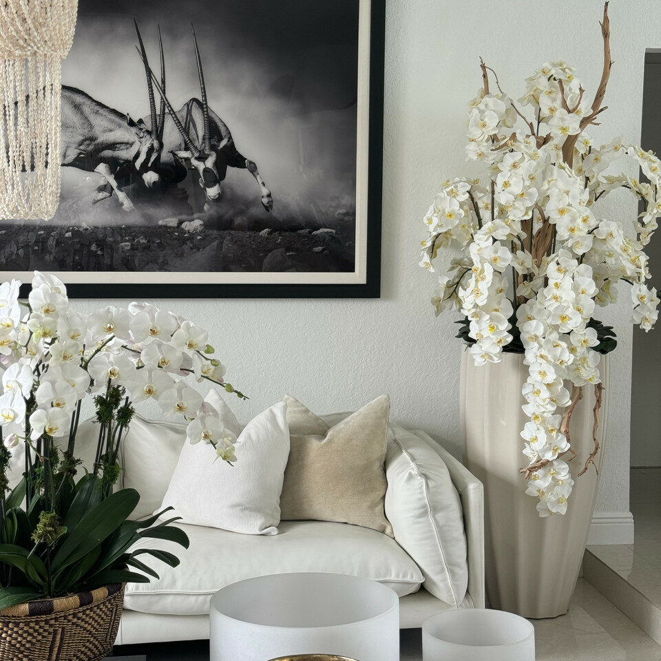 San Jose Vase in sandy Beige with white orchids in waterfall design – The Ever Botanic