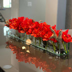 Modern House Glass Vase with Red Cymbidiums – The Ever Botanic