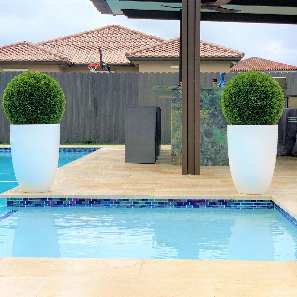 Topiary in Ben Planter – 51 cm Fiberglass – The Ever Botanic