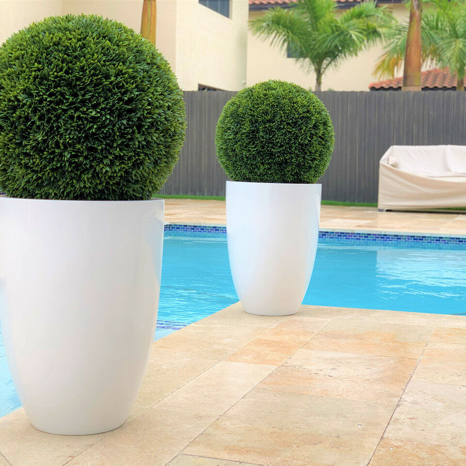 Topiary in Ben Planter – 51 cm Fiberglass – The Ever Botanic