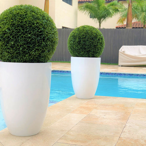 Topiary in Ben Planter – 51 cm Fiberglass – The Ever Botanic