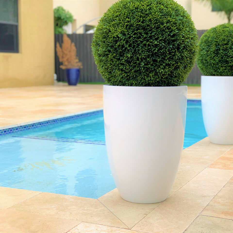 Topiary in Ben Planter – 51 cm Fiberglass – The Ever Botanic