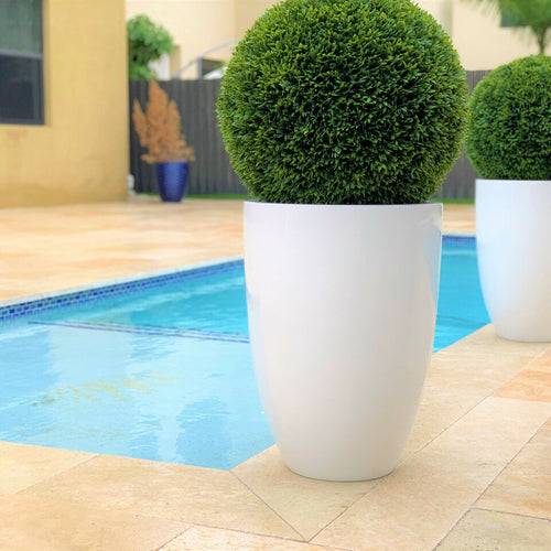 Topiary in Ben Planter – 51 cm Fiberglass – The Ever Botanic