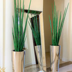 Large Polished Stainless Steel Cone Vase with Large Snake Grass Plant – The Ever Botanic