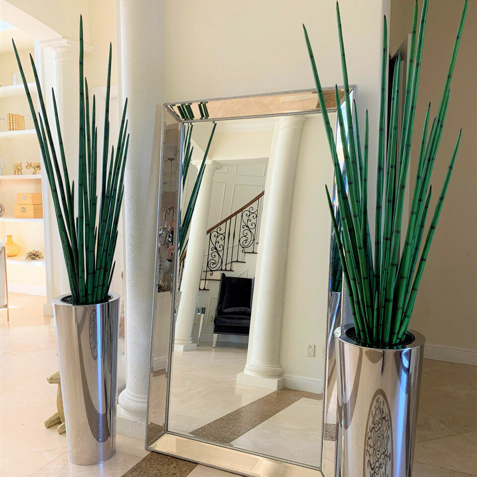Large Polished Stainless Steel Cone Vase with Large Snake Grass Plant – The Ever Botanic